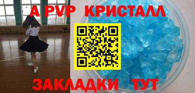 шишки Гай