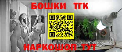 шишки Гай