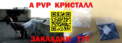 шишки Гай