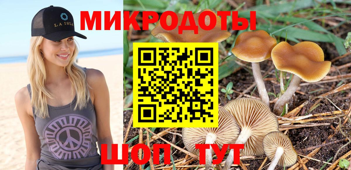 Кострома  Псилоцибиновые грибы Cubensis  Вход с VPN 