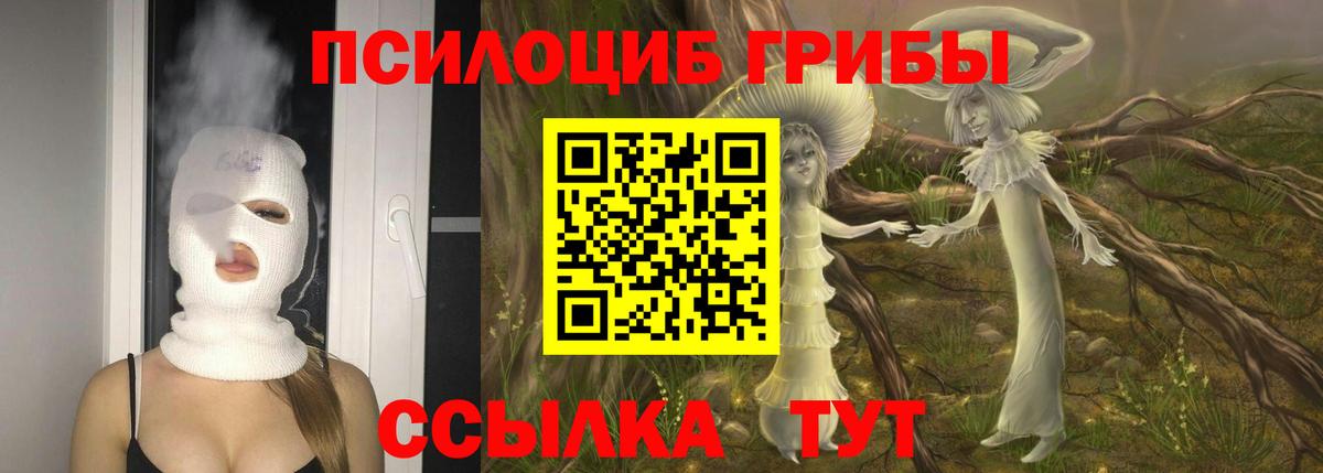 Галлюциногенные грибы MAGIC MUSHROOMS Кострома